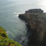 DSC00674-w740_h495